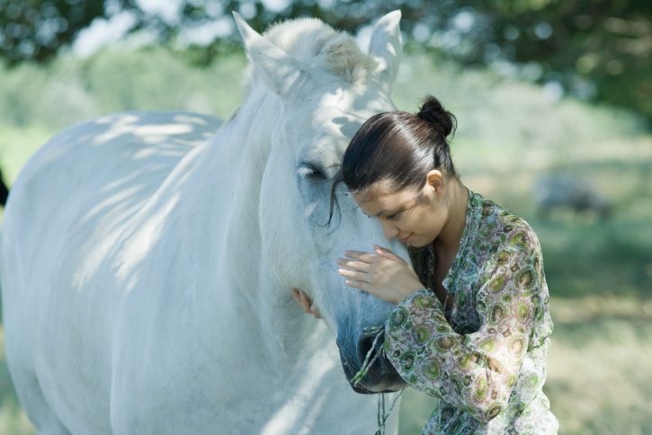 communicating with horse