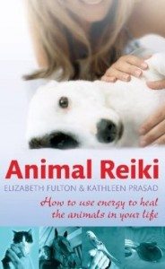 animal reiki