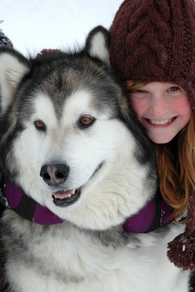 communicating with dog